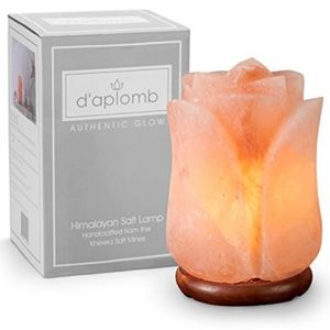 Himalayan Salt Lamp